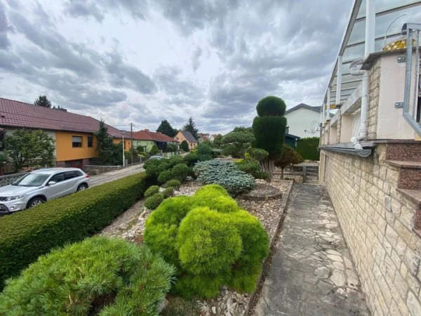 Immobilie in Bad Frankenhausen/Kyffhäuser - Bereit für ein neues Wohngefühl - Bild 2