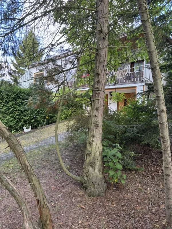 Immobilie in Fürstenberg/Havel - Kleines Haus auf großem Grundstück in Seenähe in Himmelpfort zu verkaufen! - Bild 1