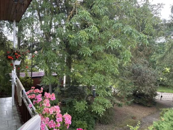 Immobilie in Fürstenberg/Havel - Kleines Haus auf großem Grundstück in Seenähe in Himmelpfort zu verkaufen! - Bild 4