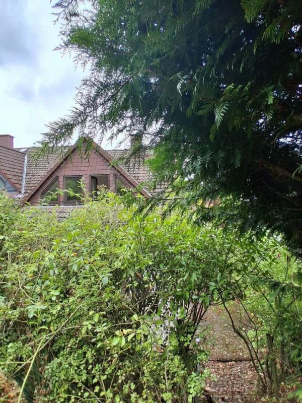 Immobilie in Gelnhausen - Für Familien: Doppelhaushälfte mit 150 m² Wohnfläche, Garage und verwunschenem Garten direkt am Wald - Bild 2