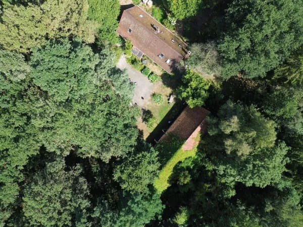 Immobilie in Asendorf - Historisches Anwesen mit 5 ha Natur für Visionäre - Bild 1