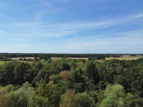 Immobilie in Asendorf - Historisches Anwesen mit 5 ha Natur für Visionäre - Bild 2