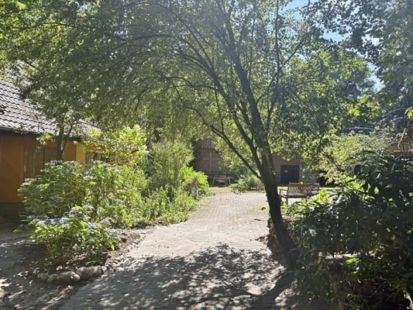 Immobilie in Asendorf - Historisches Anwesen mit 5 ha Natur für Visionäre - Bild 3