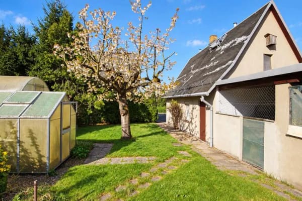 Immobilie in Lampertswalde - Zukunftsfähiges Einfamilienhaus mit schönem Garten - Bild 3