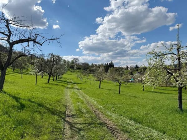Immobilie in Ostelsheim - Mit Bahnanschluss: "Gelegenheit in Ostelsheim" Hochwertige DHH in herrlicher Randlage - Bild 3