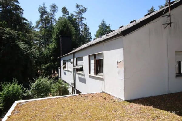 Immobilie in Hochspeyer - Ein Anwesen für Pferdeliebhaber - Einfamilienhaus mit Einliegerwohnung und Stallungen mit Scheune - Bild 3