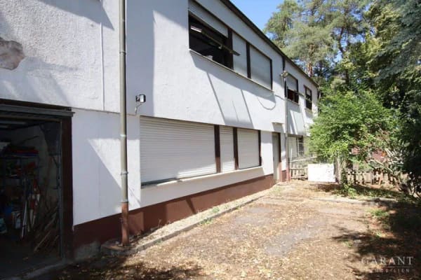 Immobilie in Hochspeyer - Ein Anwesen für Pferdeliebhaber - Einfamilienhaus mit Einliegerwohnung und Stallungen mit Scheune - Bild 4