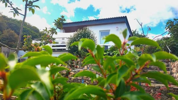 Immobilie in Bergen auf Rügen - Massiver Gartenbungalow mit Wasserblick - Bild 0