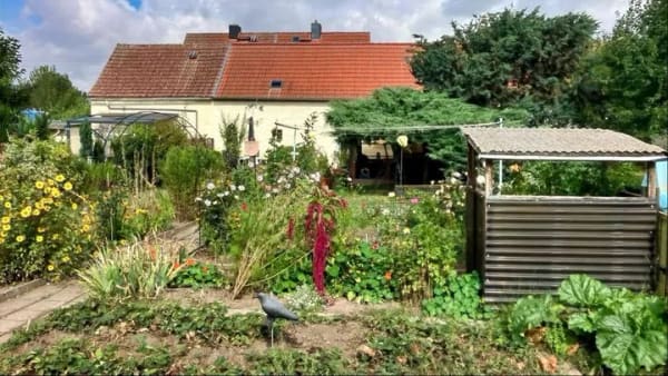 Immobilie in Eilsleben - Ihr Zuhause mit großem Garten! - Bild 4