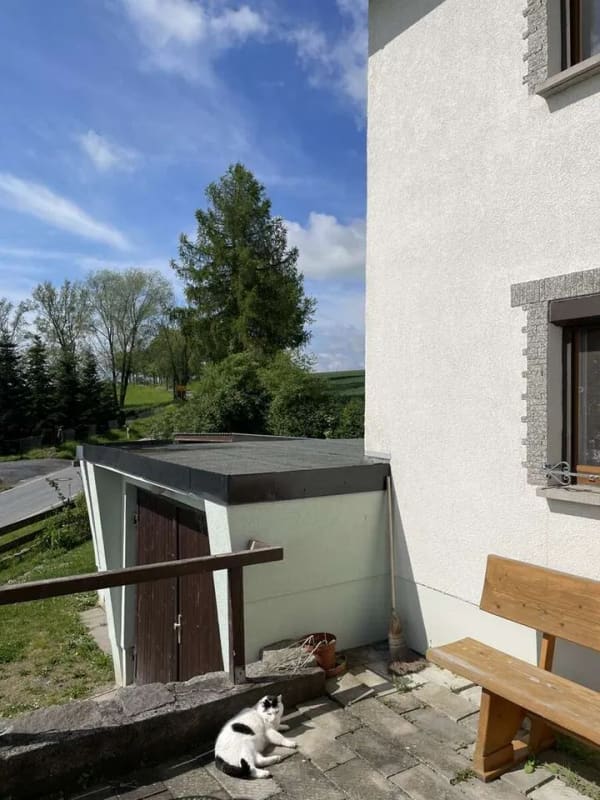Immobilie in Zittau - Einfamilienhaus mit Garagen in Dittelsdorf - Bild 2