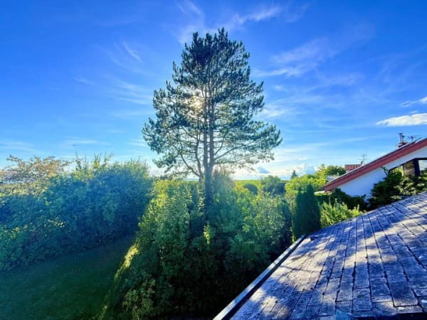 Immobilie in Meersburg - Privatsphäre mit Seesicht: Einfamilienhaus Meersburg - Bild 4