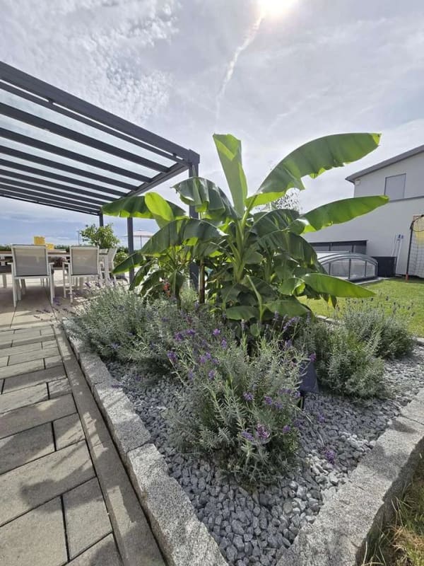 Immobilie in Eschach - Modernes Einfamilienhaus mit Pool und mediterranem Garten - Bild 3