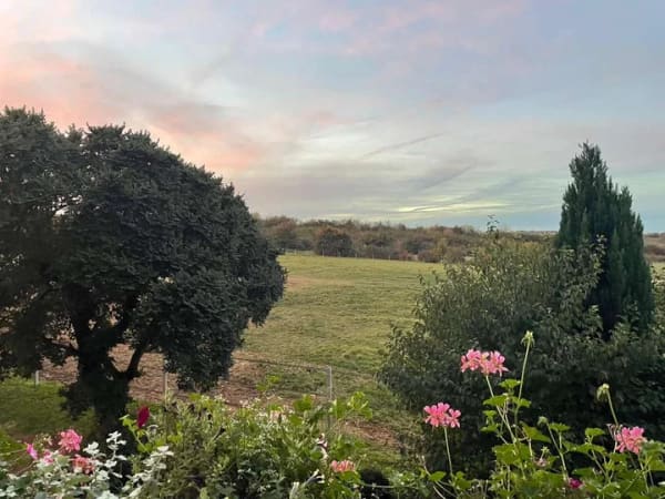 Immobilie in Hahnstätten - Naturnahes schönes Reihenhaus mit tollem Ausblick  - Bild 0