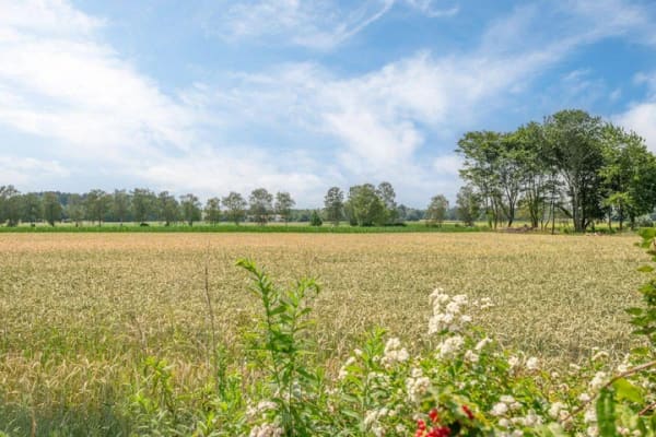 Immobilie in Anzing - AIGNER - Einfamilienhaus im Landhausstil mit traumhaftem Blick ins Grüne - Bild 1