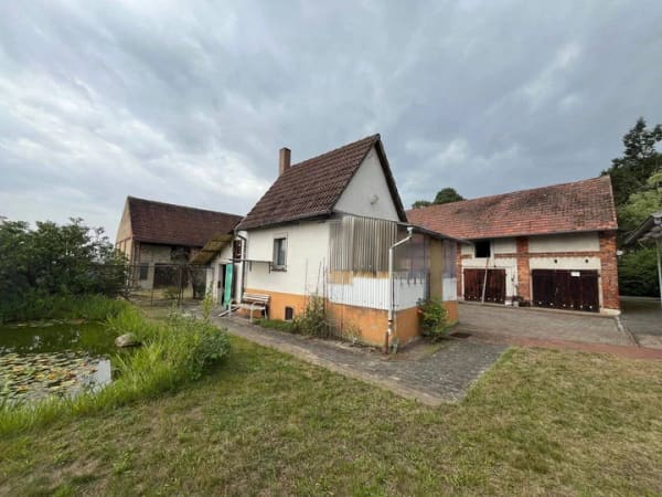 Immobilie in Tauer - Wälder, Wiesen, Alleinlage - Einfamilienhaus auf großem Grundstück mit vielen Möglichkeiten - Bild 2