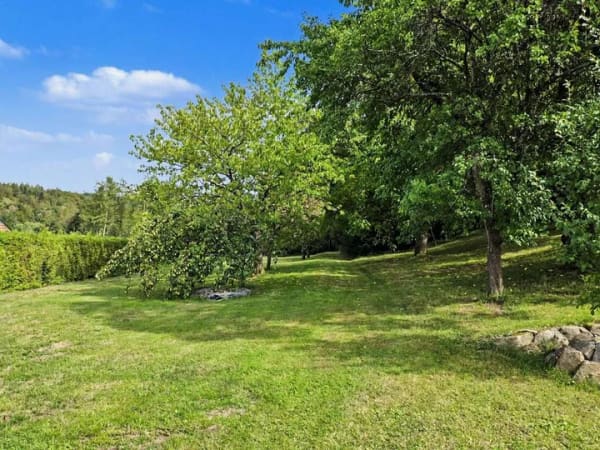 Immobilie in Fürstenstein - Einzigartiges Idyll für Großfamilien: Gepflegtes Zweifamilienhaus auf ca. 9.700 m² Traumgrundstück - Bild 4