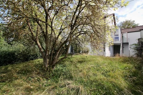 Immobilie in Blaustein - Viel Raum fürs Leben – gepflegtes Zuhause mit bis zu 7 Zimmern - Bild 3
