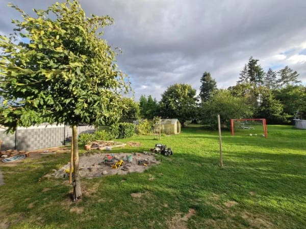 Immobilie in Meinersen - Großzügiges EFH mit 180m² Wohnfläche und 1500m² Grundstück in ruhiger Lage Meinersen,Ort : Seershausen - Bild 4