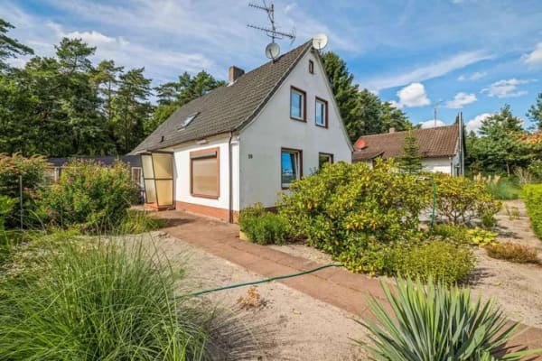 Immobilie in Wietze - Mehr Möglichkeiten als gewöhnlich – Einfamilienhaus in Wietze - Bild 3