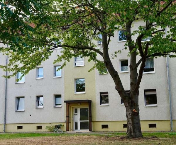 Immobilie in Thale - Eigentumswohnung zur sofortigen Selbstnutzung wartet auf Sie - Balkon und EBK inklusive! - Bild 3