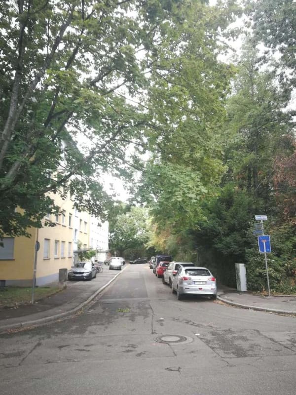Immobilie in Freiburg im Breisgau - Charmante bezugsfreie 2-Zimmer-Wohnung mit Südwest-Balkon in ruhiger Lage von Freiburg-Zähringen - Bild 2