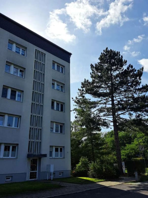 Immobilie in Dessau-Roßlau - Single-Wohnung mit PKW-Stellplatz - Bild 1