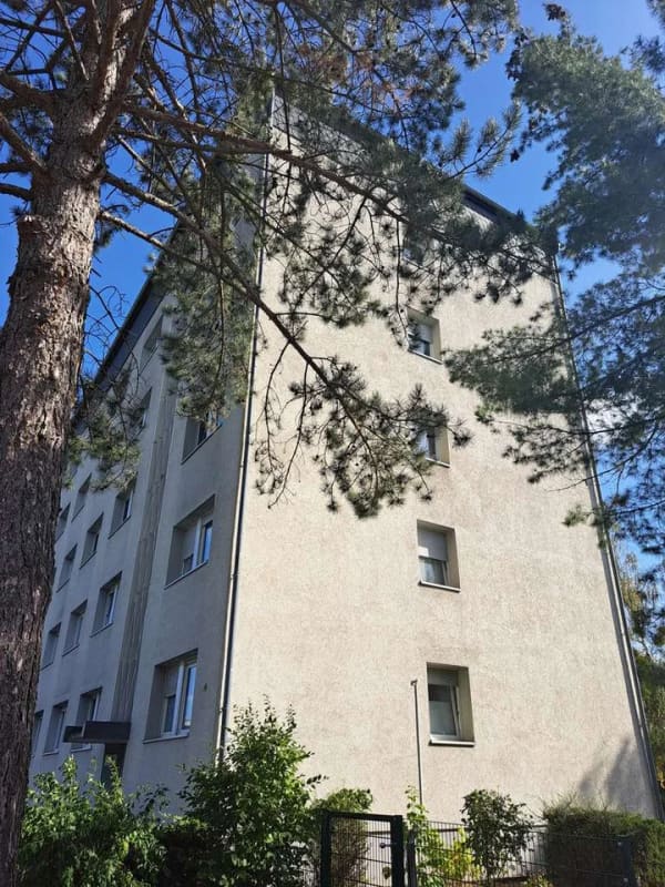 Immobilie in Dessau-Roßlau - Single-Wohnung mit PKW-Stellplatz - Bild 4