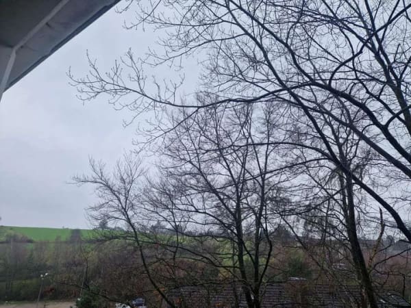Immobilie in Stolberg - Mehrfamilienhaus mit 6 Wohneinheiten und 3 Garagen in guter Lage in Stolberg Büsbach - Bild 3