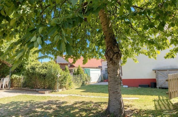 Immobilie in Münster - Ideal für Macher: Solides Zweifamilienhaus von 1990 mit viel Raum für Ihre Ideen - Bild 3