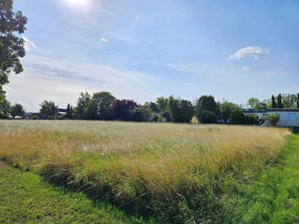 Immobilie in Vahlberg - Das clevere Raumwunder 100 im kommenden Baugebiet in Klein Vahlberg. - Bild 2