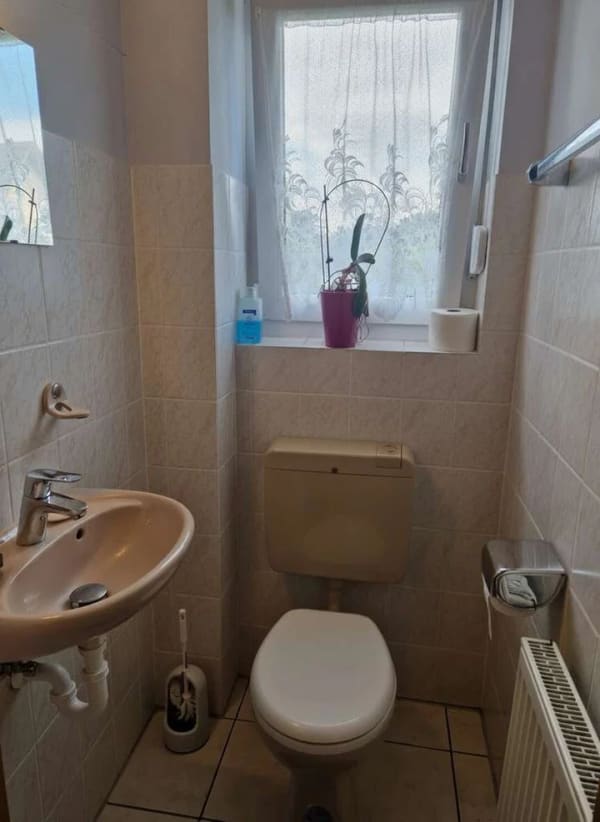 Immobilie in Eschede - Einfamilienhaus in ruhiger Lage mit schönem Garten und kleinem Teich - Bild 4