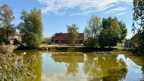 Immobilie in Treuenbrietzen - Gepflegtes Bauernhaus mit Wasserblick am Dorfweiher - Bild 2