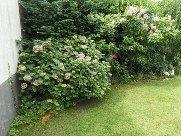 Immobilie in Brohl-Lützing - Freistehendes Einfamilienhaus mit Garten und Ausbaureserve - Bild 3