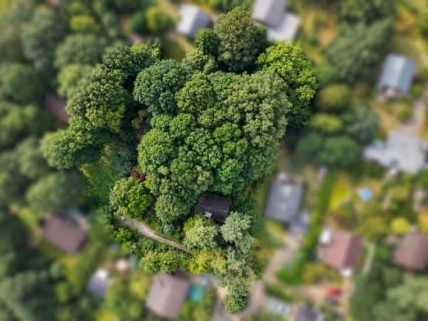 Immobilie in Hollnseth - Ein kleines Zuhause im Grünen - Nurdachhaus mit großem Grundstück in Hollnseth - Bild 1