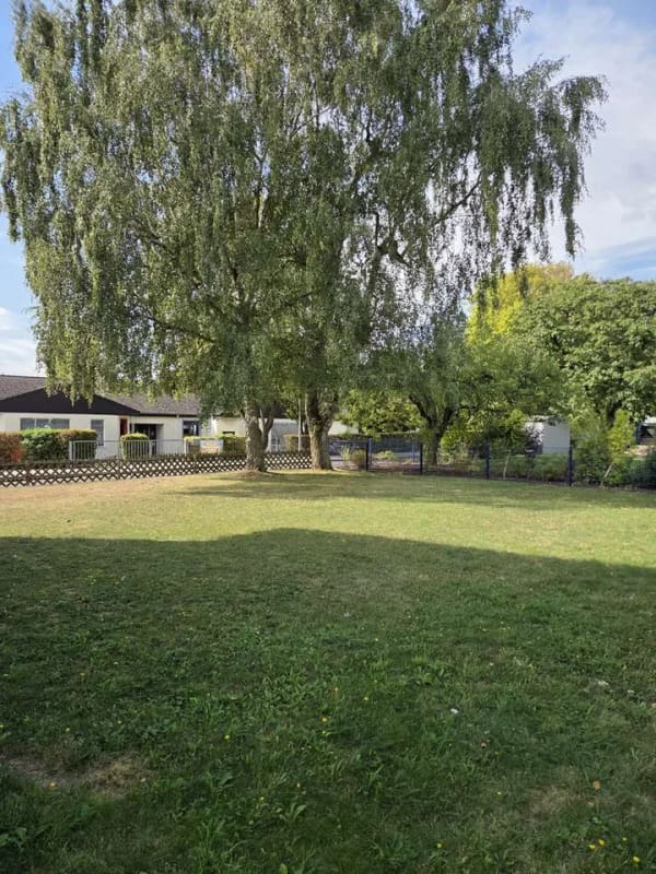 Immobilie in Wöllstadt - Wohnen mit Charakter: Mehrfamilienhaus in Nieder-Wöllstadt - Bild 3