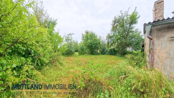 Immobilie in Rambin - Klein aber voller Möglichkeiten - Doppelhaushälfte in Rambin - Bild 4