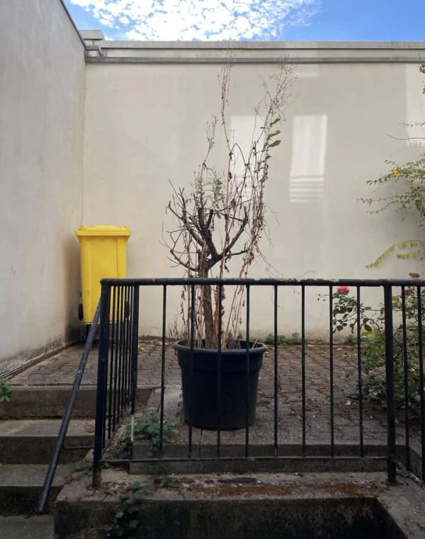 Immobilie in Aachen - Frankenberger Viertel: Kapitalanlage in Bestlage mit Mietsteigerungspotential! - Bild 3