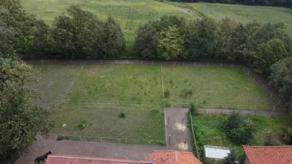 Immobilie in Rahden - Sonstige in Rahden (Preußisch Ströhen) - Bild 3