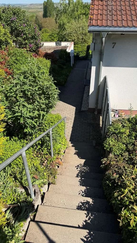 Immobilie in Partenheim - ToFa:  bald freie Terrassenwohnung inkl. Stellplatz und hochwertiger Einbauküche - Bild 4