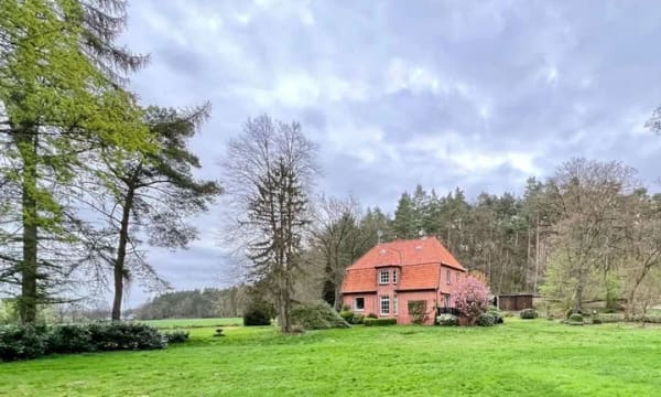 Immobilie in Nahrendorf - Außergewöhnlicher Ort, außergewöhnliches Wohnen ...Einzigartige Gelegenheit in Waldrandlage - Bild 3