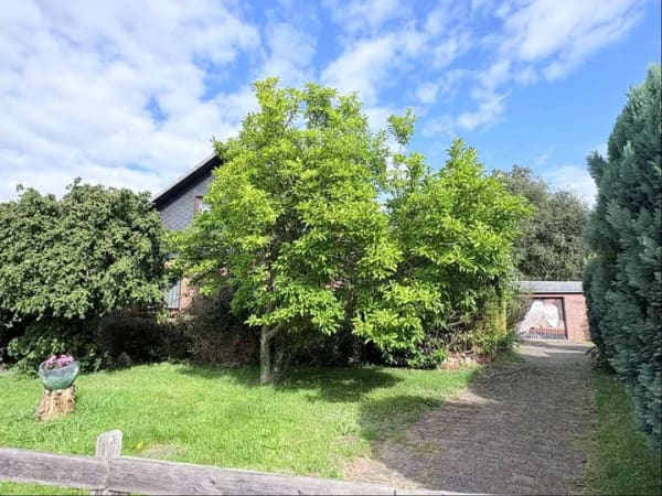 Immobilie in Ziethen - Großzügiges Einfamilienhaus mit Einliegerwohnung - Bild 3