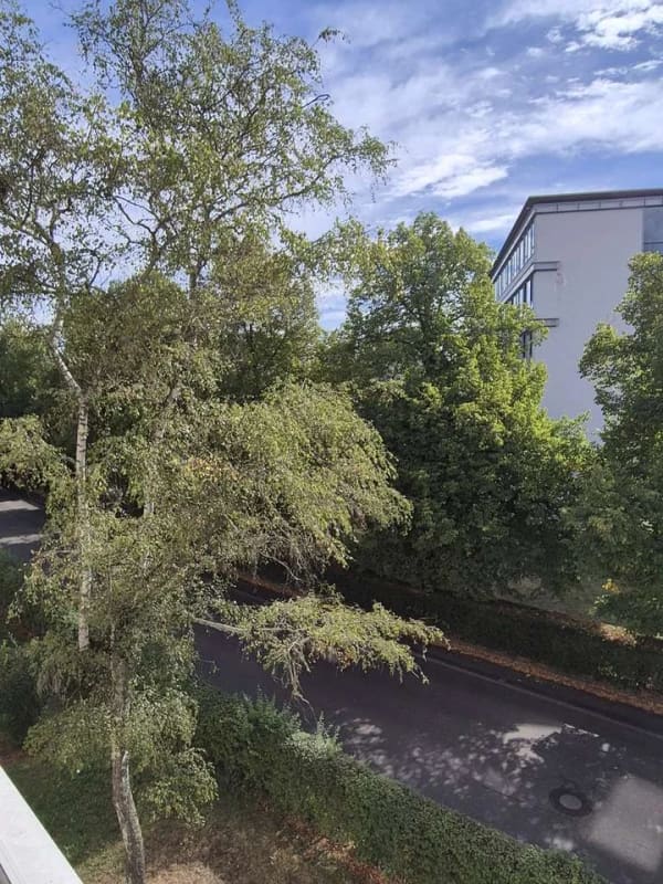 Immobilie in Göppingen - Sofort beziehbare 3-Zimmer-Wohnung mit Sonnenbalkon zum attraktiven Preis - Bild 3