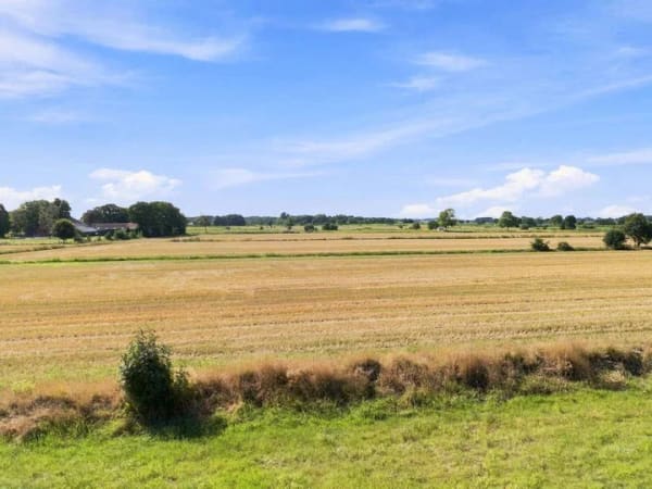Immobilie in Großheide - Feldrandlage mit Weitblick - Einfamilienhaus in ruhiger Nachbarschaft - Bild 1
