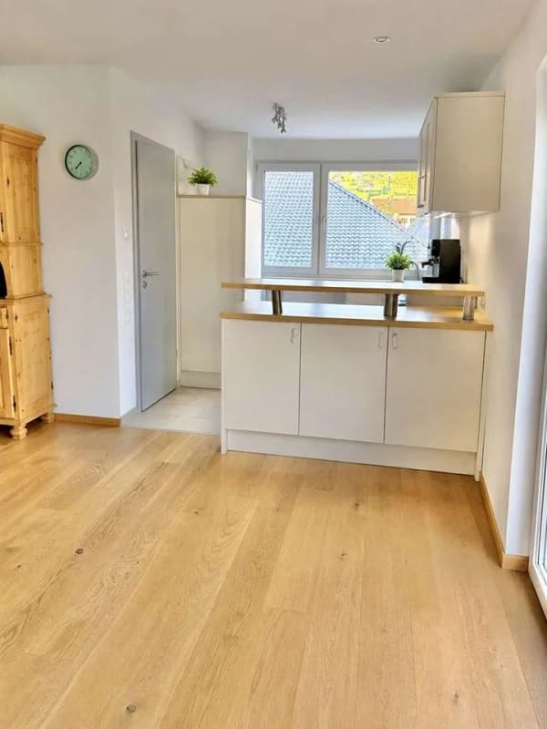 Immobilie in Hohentengen am Hochrhein - Neuwertiges Einfamilienhaus mit großzügigem Grundstück - Bild 3