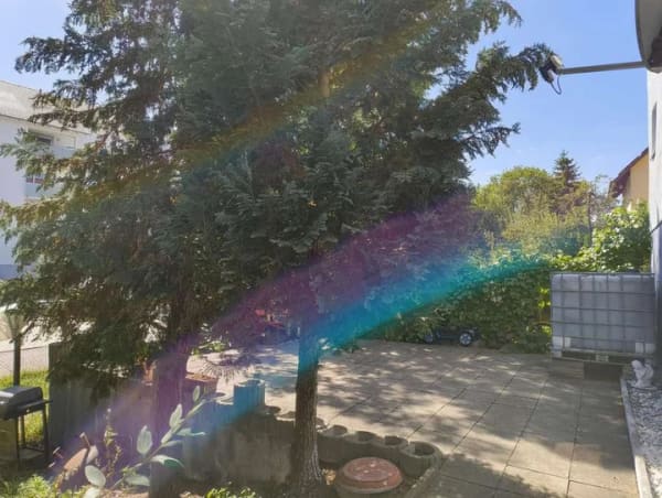 Immobilie in Vöhringen - Vielseitiges MF-Fachwerkhaus mit großem Potenzial in Vöhringen - Provisionsfrei - Bild 4