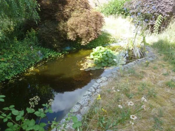 Immobilie in Wallenhorst - Gemütlicher bezugsfreier Bungalow auf tollem großen Grundstück am Zentrumsrand von Wallenhorst - Bild 1