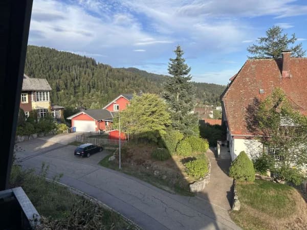 Immobilie in St. Blasien - Attraktive Dachgeschosswohnung mit Balkon in Sankt Blasien - Bild 0
