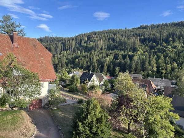 Immobilie in St. Blasien - Attraktive Dachgeschosswohnung mit Balkon in Sankt Blasien - Bild 1