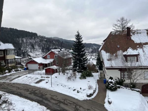 Immobilie in St. Blasien - Attraktive Dachgeschosswohnung mit Balkon in Sankt Blasien - Bild 2
