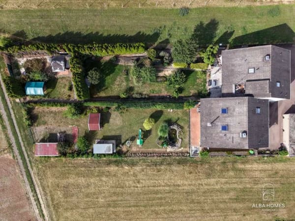 Immobilie in Erbes-Büdesheim - Großzügiges Einfamilienhaus in Feldrandlage von Erbes-Büdesheim – Garten und neu ausgebautes DG - Bild 2